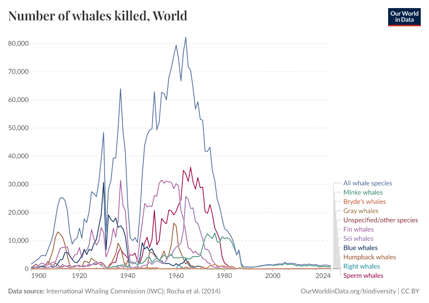 A thumbnail of the "Number of whales killed" chart